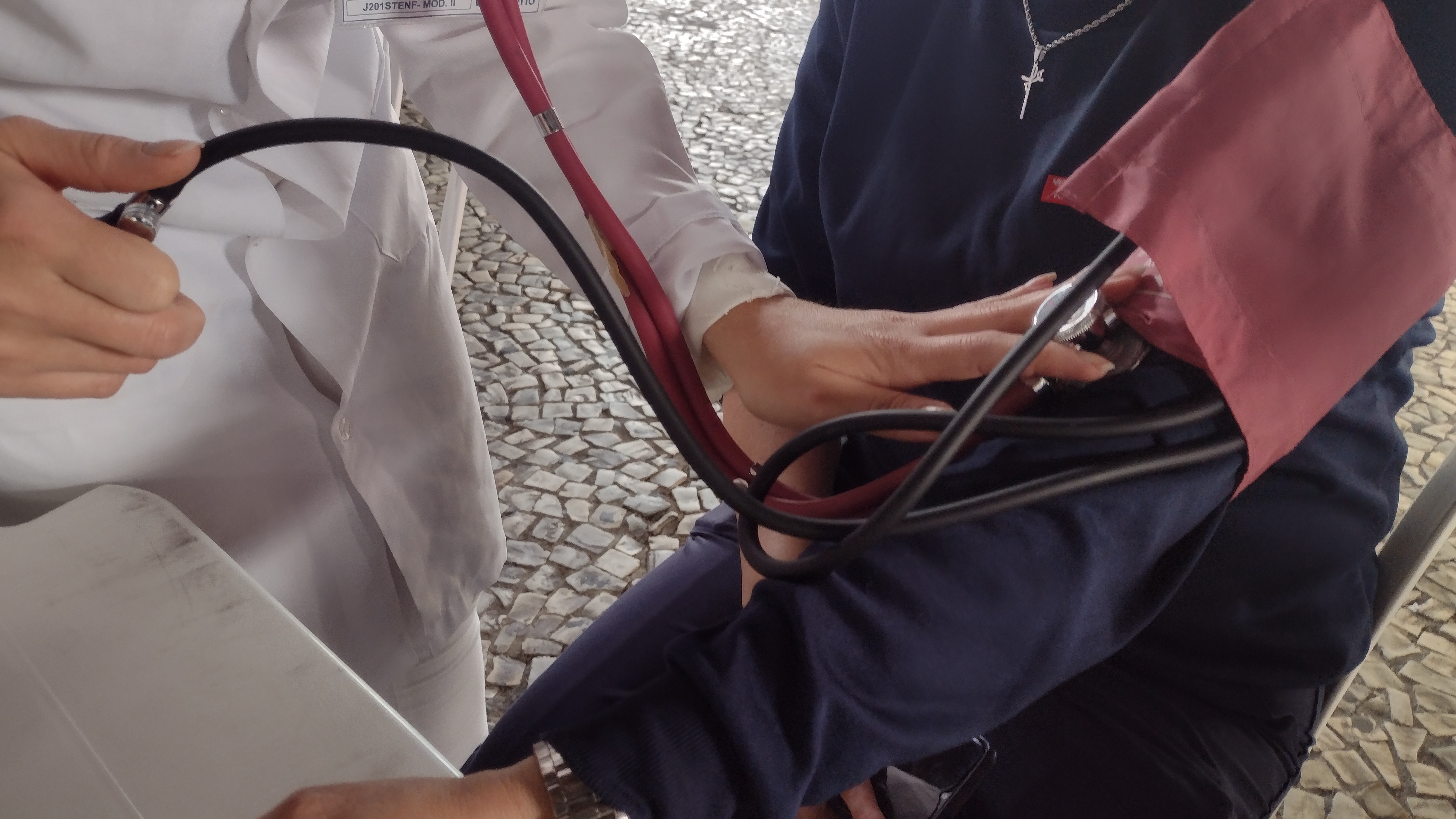 visualizador
