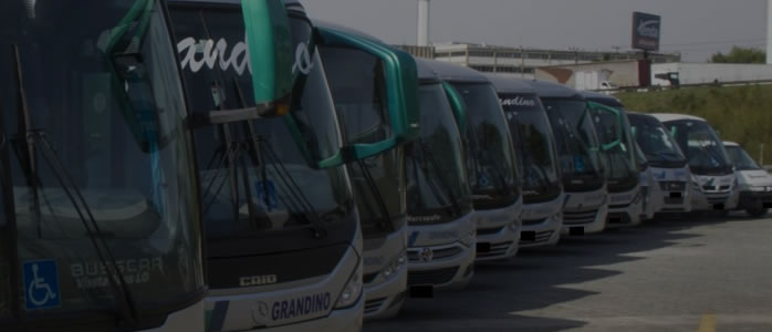 Foto de vários ônibus de Fretamento estacionados um do lado do outro.
